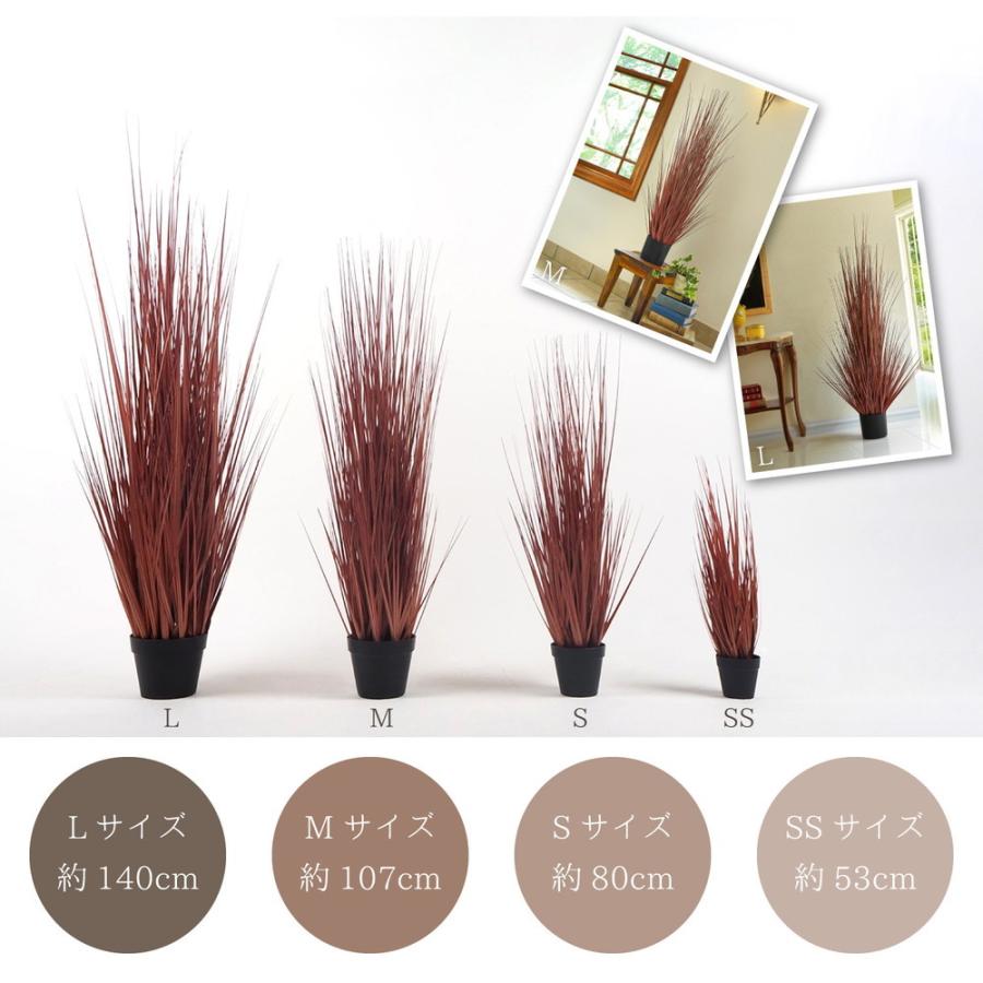 HAGiHARA（萩原） オシャレで枯れない人工観葉植物 レッドグラス
