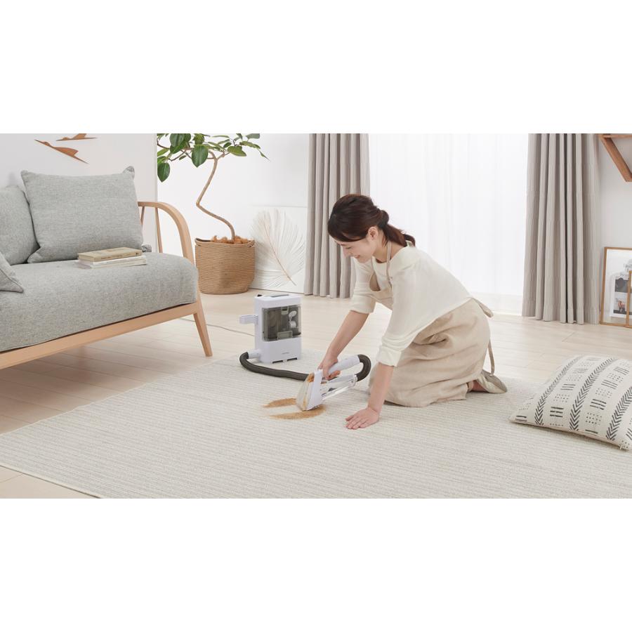 IRIS OHYAMA RNS-300 カーペットクリーナー本体　美品 IRIS OHYAMA リンサークリーナー アイリスオーヤマ クリーナー