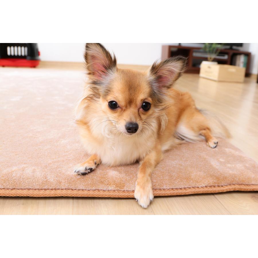 アイリスオーヤマ ラ・クッションラグ 2畳 ベージュ 185&times;185cm ＡCRB-1818 (じゅうたん マット カーペット 厚手 ウレタン) 爆買