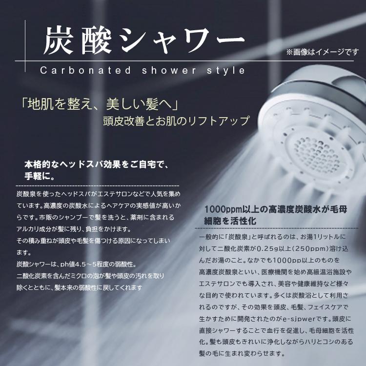 タケシタ e-soda 炭酸シャワー TNSW1B [家庭用 高濃度炭酸水 タケシタ e-soda 炭酸シャワー TNSW1B [家庭用 高濃度炭酸水