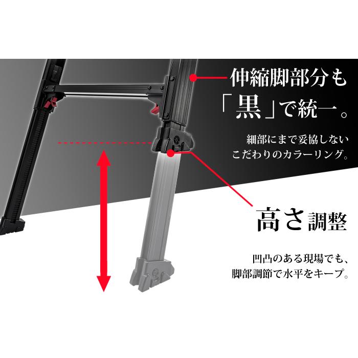 長谷川工業 （法人様限定）伸縮はしご兼用脚立 ブラックレーベル RYZB