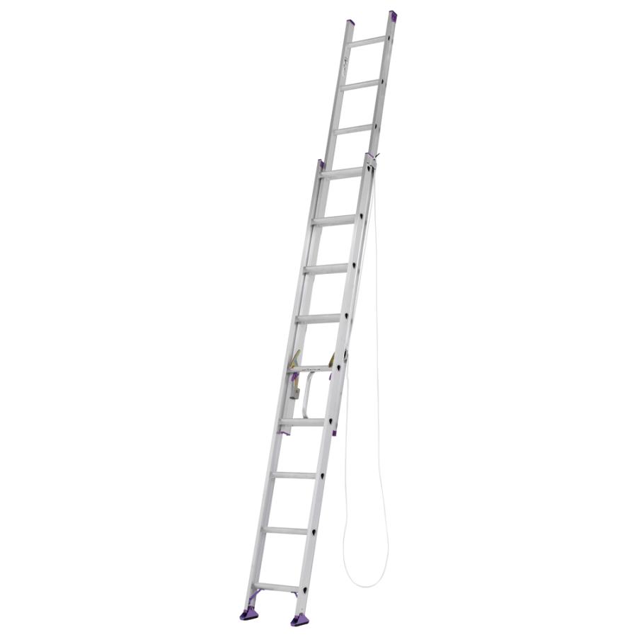 ALINCO（アルインコ） 2連はしご 約5m CX-50DE [ハシゴ 梯子 園芸用品 