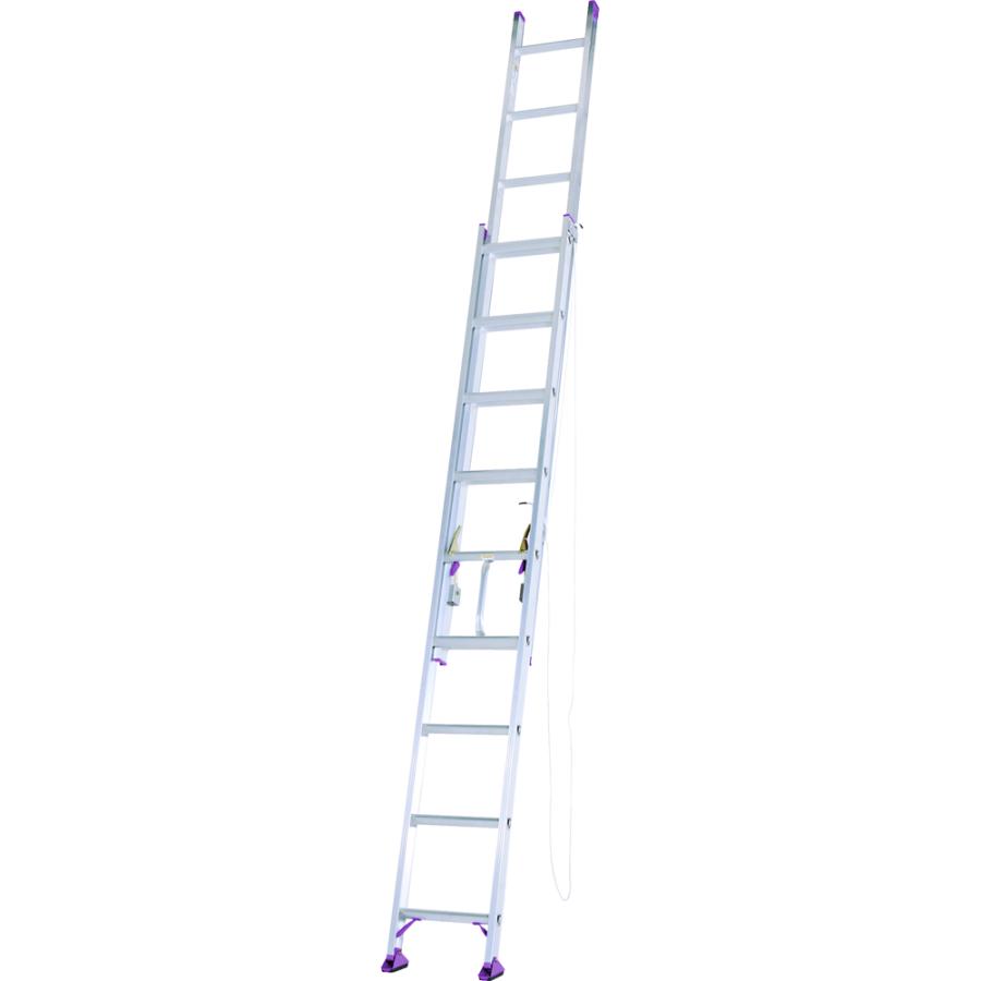 ALINCO（アルインコ） 2連はしご 約8m CX-80DE (alinco 二連 ハシゴ 