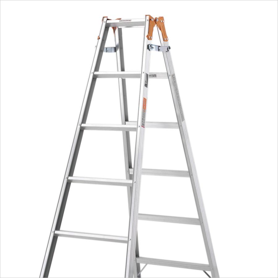 ALINCO（アルインコ） はしご兼用脚立 約180cm DEA-180F [アルミ製 