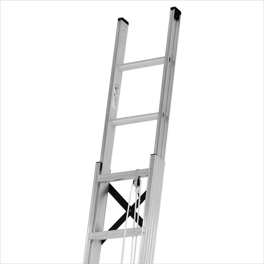 ALINCO（アルインコ） 2連はしご 約5m MD-53D [ハシゴ 梯子 園芸用品 