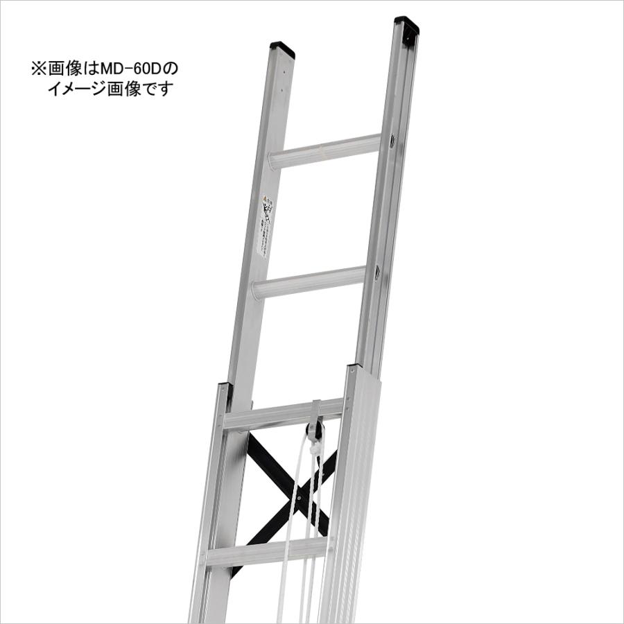 ALINCO（アルインコ） 2連はしご 約6m MD-60D [ハシゴ 梯子 園芸用品