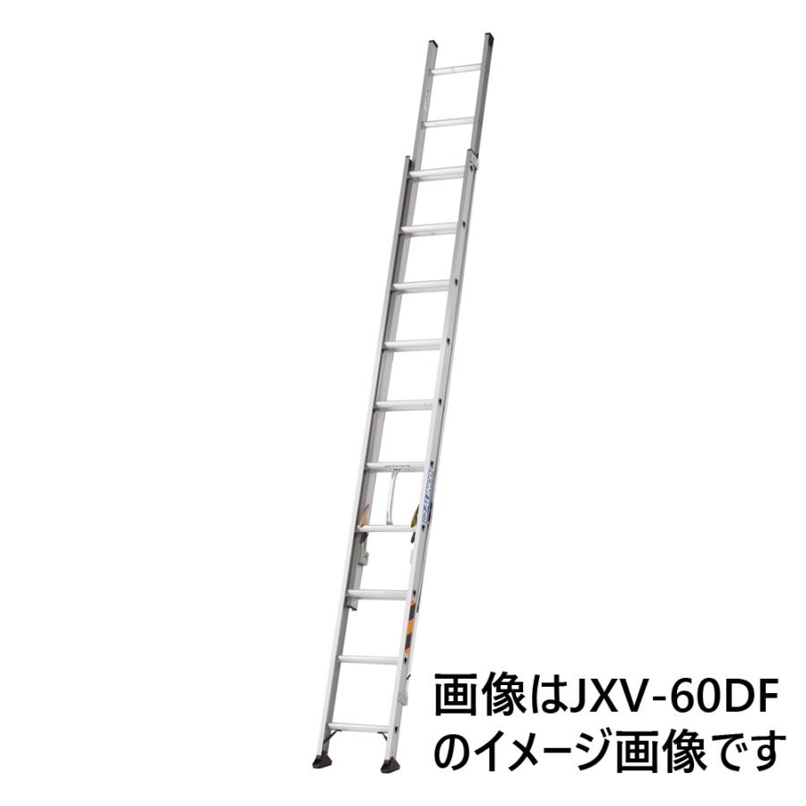 ALINCO（アルインコ） 2連はしご 約7m JXV-73DF [ハシゴ 梯子 園芸用品