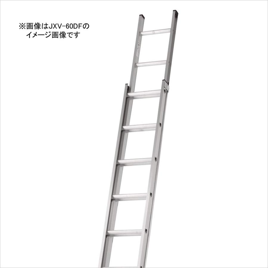 ALINCO（アルインコ） 2連はしご 約7m JXV-73DF [ハシゴ 梯子 園芸用品