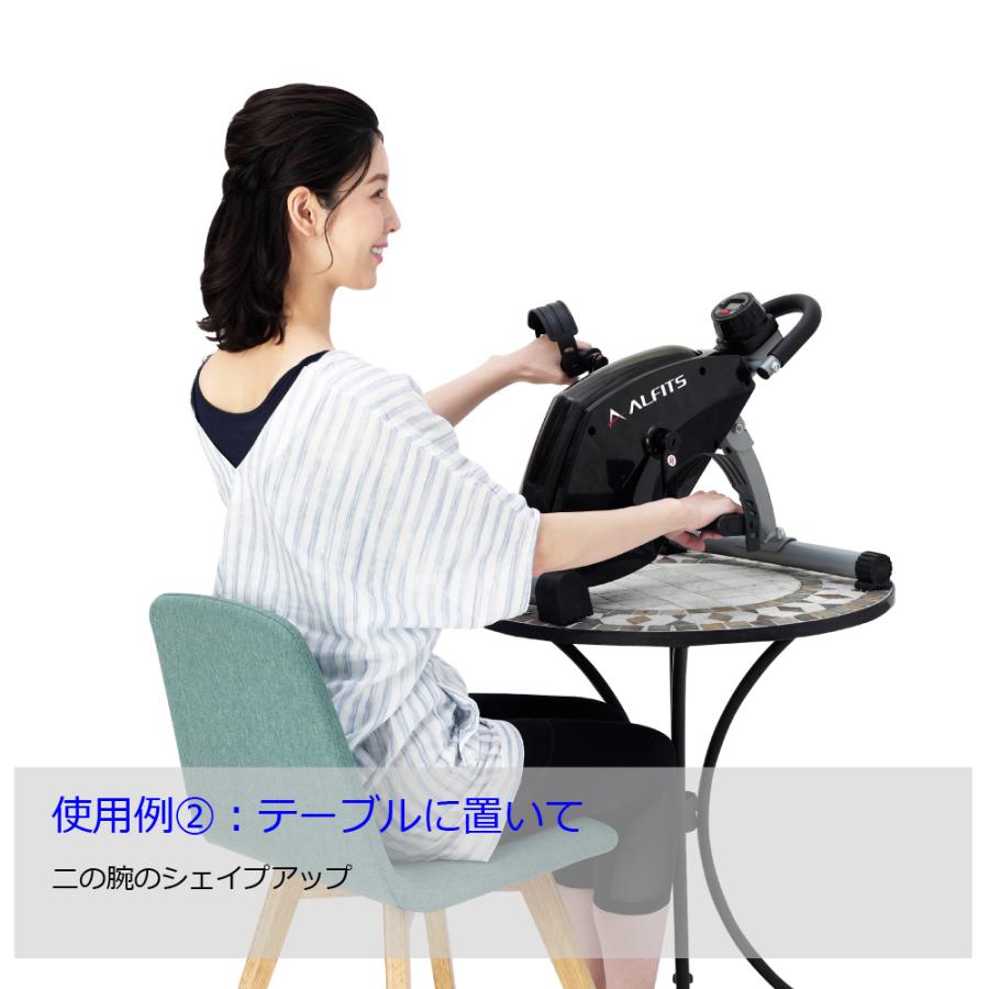 アルインコ エアロマグネティックミニバイク AFB2119K [トレーニング