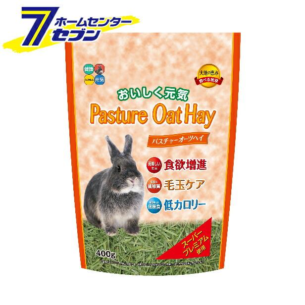 ハイペット パスチャーオーツヘイ 400g ハイペット 牧草 うさぎ主食 ウサギ Diy Com 通販 Paypayモール
