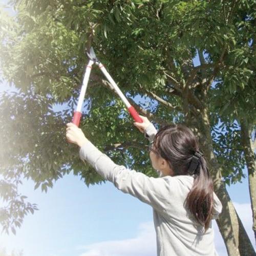 千吉 小型レディース太枝切鋏 50cm 藤原産業 [園芸道具 刈込鋏 太枝