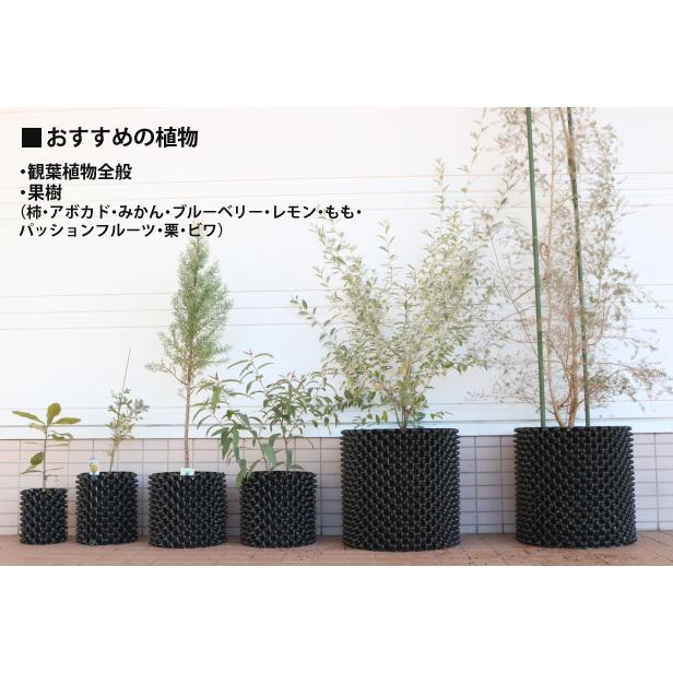 ルートプラスポット 3L×10個セット GS-AP150M エアープルーニング