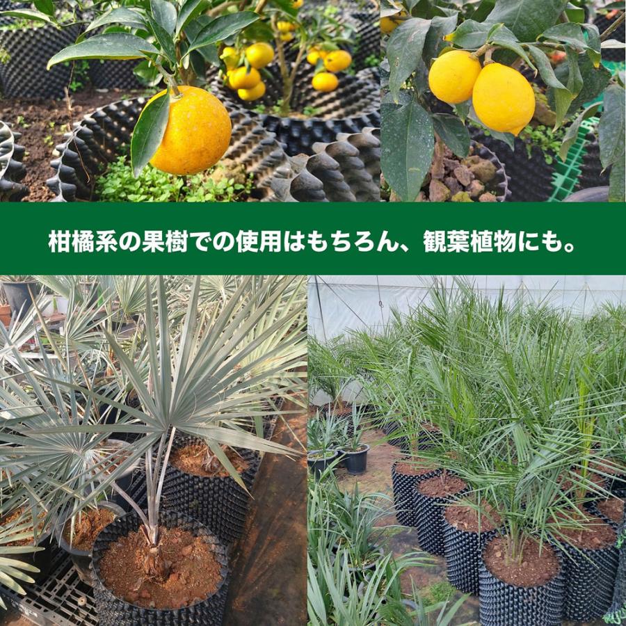 南榮工業 ルートプラスポット 7.5L まとめてお買い得 50個セット エアープルーニングコンテナ GS-AP200M-50 (まとめ買い 植木鉢 プランター 根巻き防止 園芸 )の画像