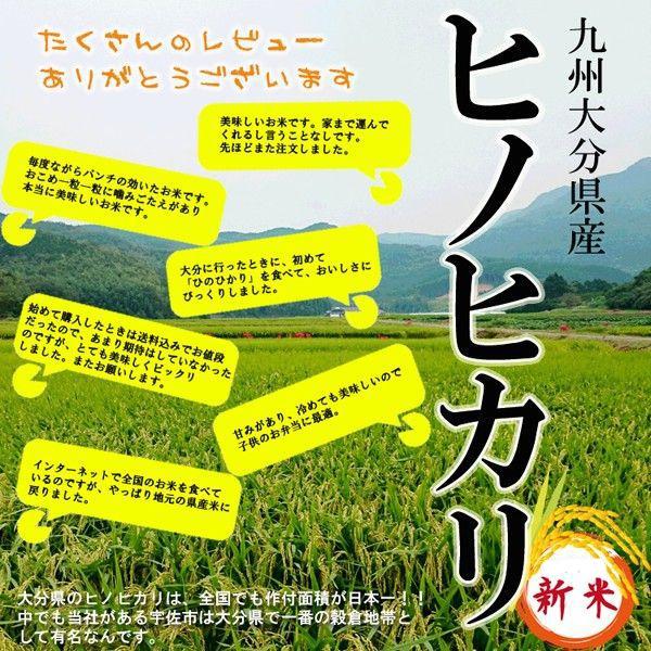 ヒノヒカリ 新米 お米 大分県産 ひのひかり 10kg (5kg×2袋) 単一 ヒノヒカリ 新米 お米 大分県産 ひのひかり 10kg (5kg×2袋) 単一
