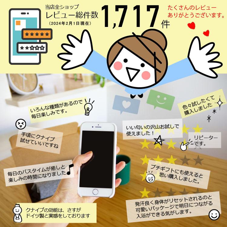 KNEIPP（クナイプ） NEW バスソルト 10種類セット アソート 【送料無料