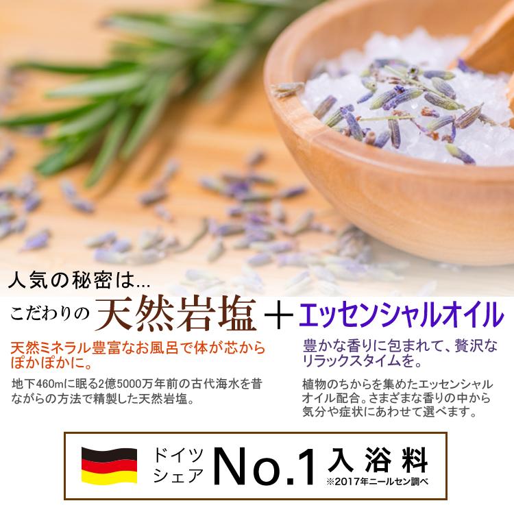 KNEIPP（クナイプ） NEW バスソルト 10種類セット アソート 【送料無料