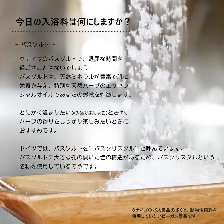 KNEIPP（クナイプ） NEW バスソルト 10種類セット アソート 【送料無料