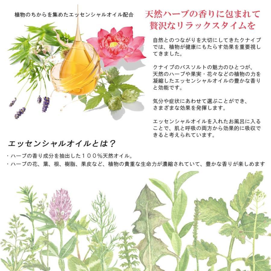 KNEIPP（クナイプ） （ミントシリーズ登場）クナイプ バスソルト 13個