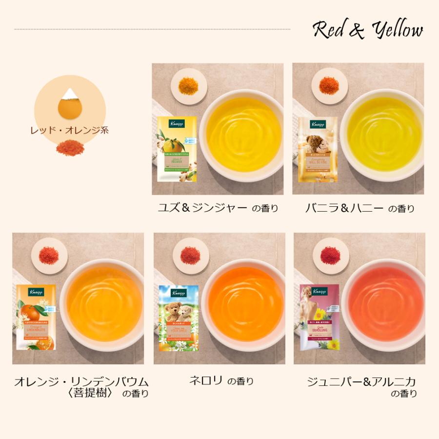 本日28日まで最終値下げ【新品】クナイプ バスソルト 850g 6本セット KNEIPP（クナイプ） バスソルト 13個アソートセット （50g×13個