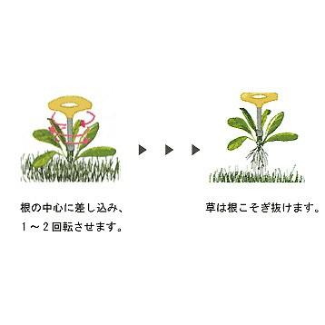 メール便可 Itk 岩田鉄工所 芝生の手入れに 回転式草取器 抜けるンですミニ ホームセンターブリコ Paypayモール店 通販 Paypayモール