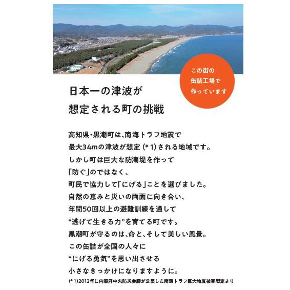 高知県黒潮町公認 にげる防災缶詰 高知県産玄米使用 おいしいごはん 鰹