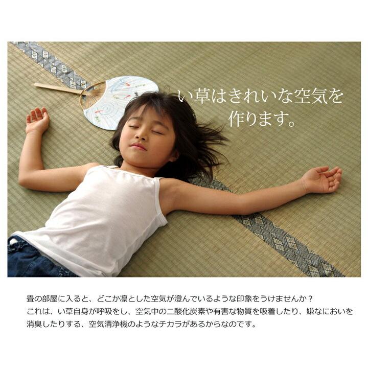 メーカー直送）イケヒコ・コーポレーション 国産 糸引織り い草上敷