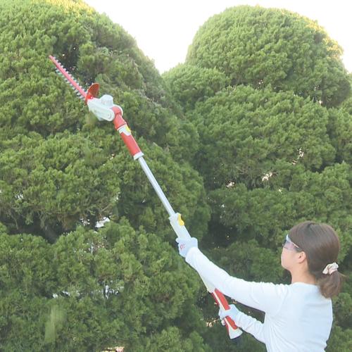 藤原産業 セフティー3 充電伸縮式ヘッジトリマー STH-260Z-108V