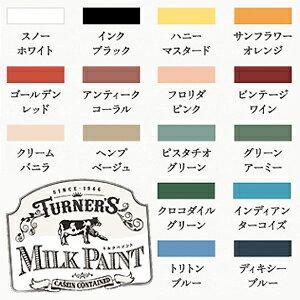 ターナー MILK PAINT ミルクペイント 水性 450ml｜hcbrico｜03