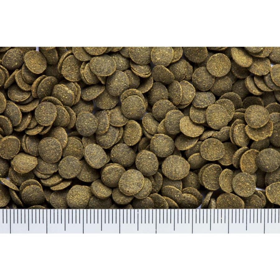 ひかりクレストミニプレコ85g 魚フード キョーリン (コンパクト ひかりクレストミニプレコ85g 魚フード キョーリン (コンパクト