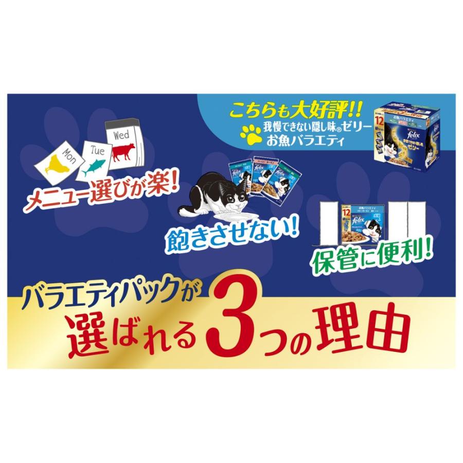 フィリックス 成猫 お魚お肉 12袋入600g 猫ウェットフード ネスレ