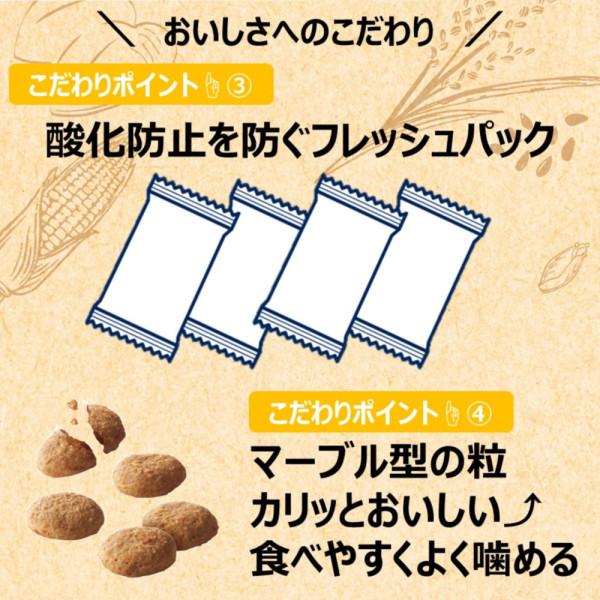 ファーストチョイス ＣｈｏｉｃｅＳ ダイエットしたい子に 成犬 １歳以上 ２．２ｋｇ 犬用フードドライ アース・ペット | ファーストチョイス | 02