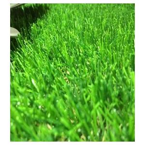 八千代工業 YACHIYO yachiyo リアル人工芝 マジックターフ 1m×5m YG