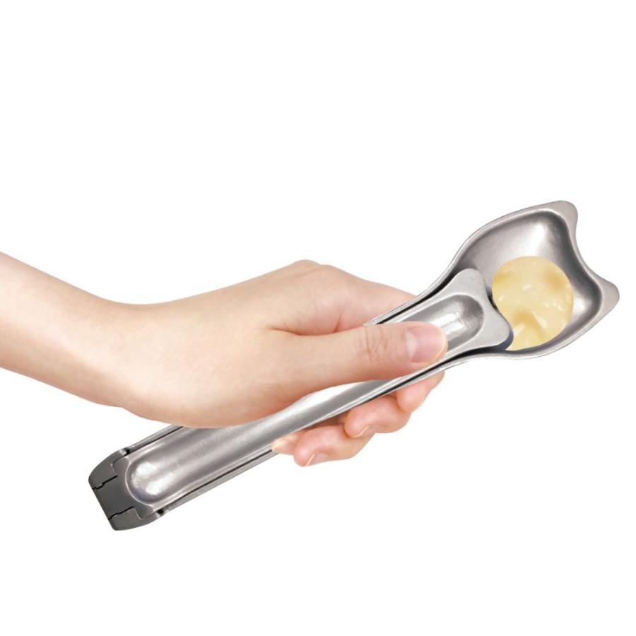 デカ皿スプーン 犬用銀 犬 スプーン ドギーマンハヤシ （コンパクト便