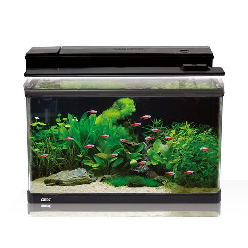 ラピレス GEX ラピレスRV 60DT LEDセット 観賞魚用 水槽
