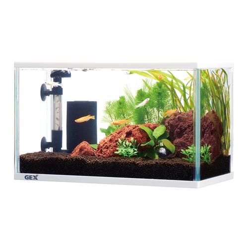 メダカ元気 メダカのための水槽セット300 水槽 セット