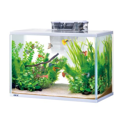 GEX（ジェックス） スリムアクアセット 400 観賞魚用水槽 (店舗受取