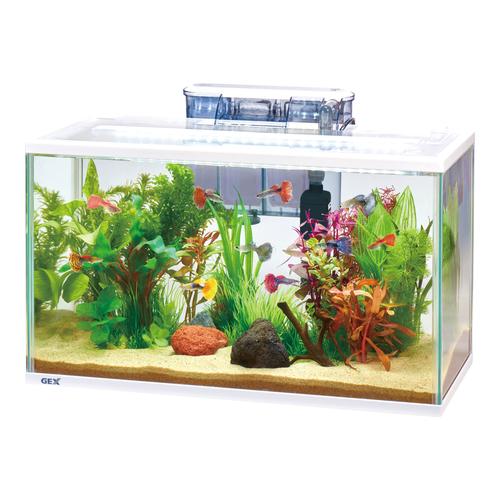 GEX（ジェックス） スリムアクアセット 500 観賞魚用水槽 (店舗受取