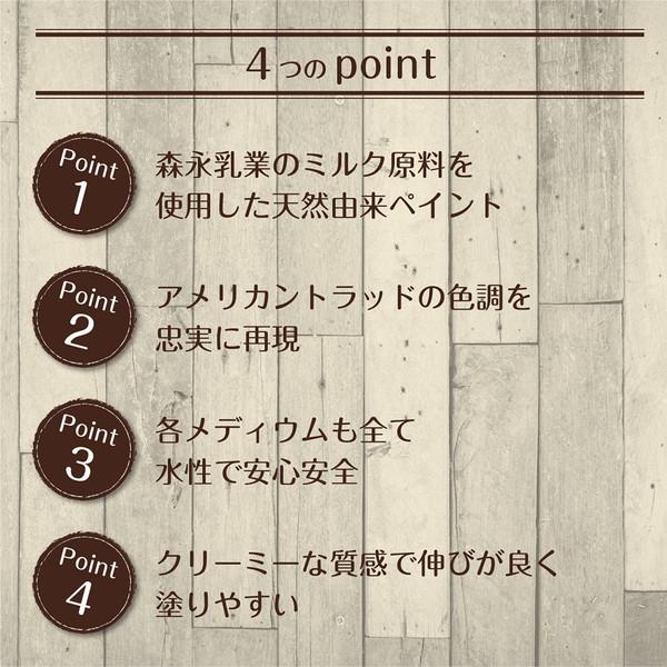 ミルクペイント ターナー色彩 スノーホワイト 450ML 塗料