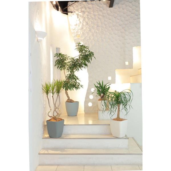 アップルウェアー apple アトリエポット30型ホワイト 30