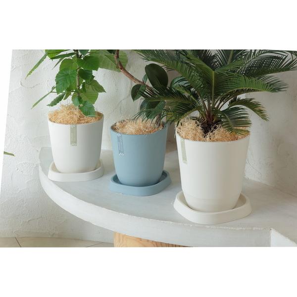 アップルウェアー apple アトリエポット30型ホワイト 30