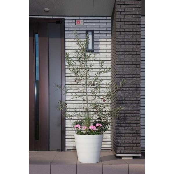 アップルウェアー apple クラフトポット35型ホワイト 35 |  | 04