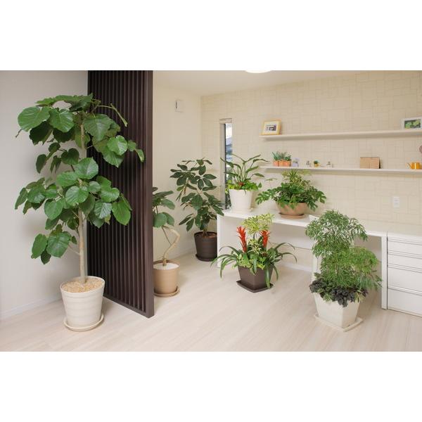 アップルウェアー apple クラフトポット35型ホワイト 35 |  | 07