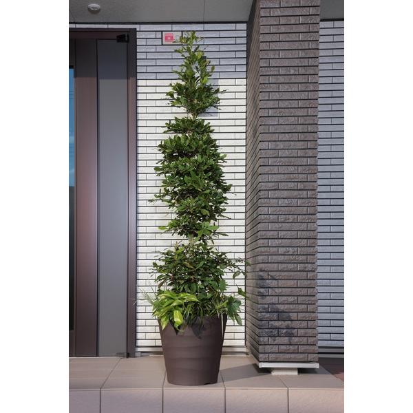 アップルウェアー apple クラフトポット30型ダークブラウン 30 |  | 04