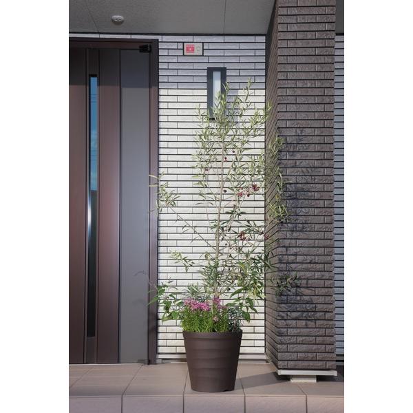 アップルウェアー apple クラフトポット35型ダークブラウン 35 |  | 04