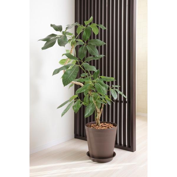 アップルウェアー apple クラフトポット40型ダークブラウン 40 |  | 04