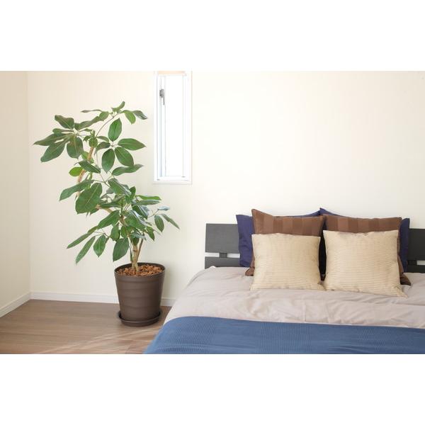 アップルウェアー apple クラフトポット40型ダークブラウン 40 |  | 06