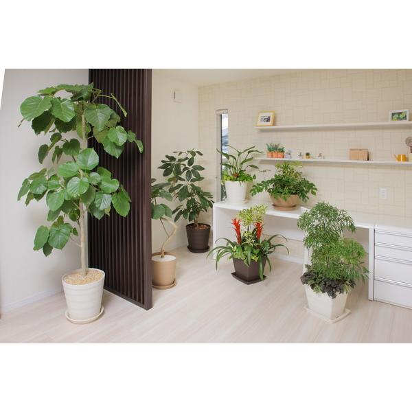 アップルウェアー apple クラフトポット24型ダークブラウン 24 |  | 05