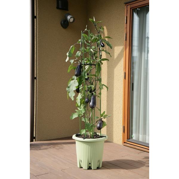 アップルウェアー apple 楽々菜園丸型380支柱用フレーム付き