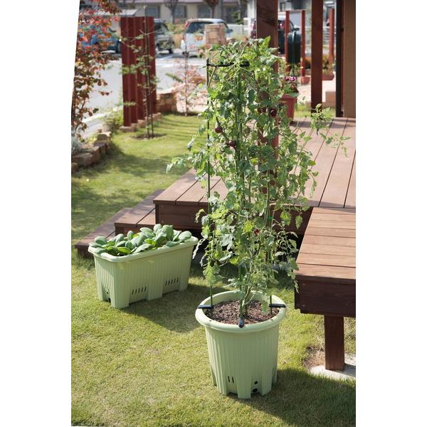 アップルウェアー apple 楽々菜園深型750支柱用フレーム付きサラダ