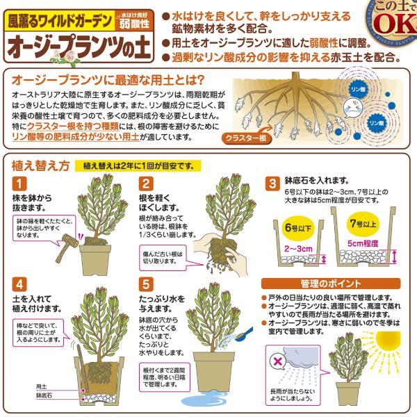 オージープランツの土 12L 花ごころ : ホームセンターグッデイ - 通販